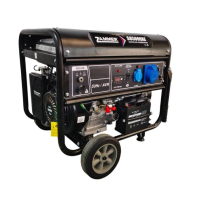 Бензиновый генератор Zammer S8500CXE передвижной фото